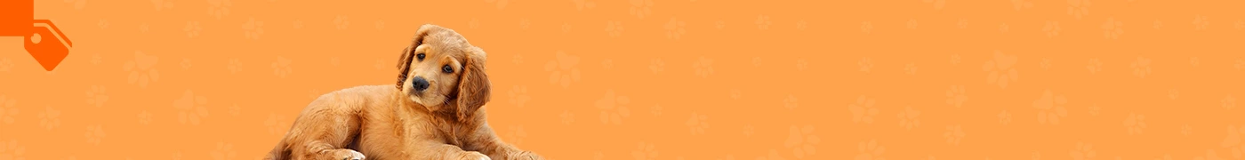 cms-banner-1